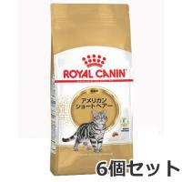 6個セット ロイヤルカナン アメリカン ショートヘアー 成猫用 2kg×6個セット | ペッツマム 2号店