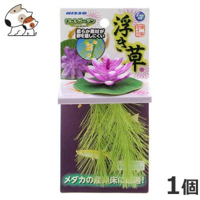 ペッツマム 2号店 - 産卵ボックス・産卵床｜Yahoo!ショッピング