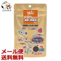 ★【メール便】【今月のお買い得商品】キョーリン メダカのエサ 産卵繁殖用 40g 送料無料 | ペッツマム 2号店