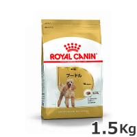 ロイヤルカナン プードル 成犬用 1.5kg | ペッツマム 2号店