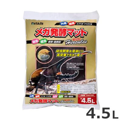 ヘラクレス 幼虫の商品一覧 通販 - Yahoo!ショッピング
