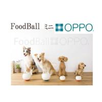 OPPO　フードボール ミニ（FoodBall mini） | ペット用品と雑貨のPETWILL