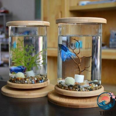 ベタ（ガラス水槽）｜水槽｜熱帯魚、アクアリウム用品 | ペット用品