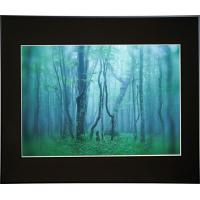 何個でも送料★まとめ買いにはお得です★770円kenko ケンコー ギャラリー A2 ブラック AGY-A2-BK★メーカー倉庫より商品手配　フレッシュな状態　品質管理万全★ | 創業30年 フォトクリエイション