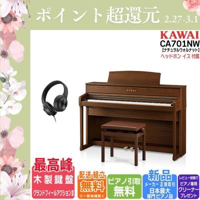 Regina 名東電気 Kawai ピックアップ ビザール Regina 名東電気 Kawai