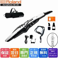 【最短翌日お届け】ローランド Roland デジタル管楽器 専用キャリングバッグ付き Aerophone エアロフォン AE-20