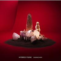 【おまけCL付】新品 HYBRID FUNK Original Edition (CD) / ENDRECHERI 堂本剛 (CD) JECR-61-SK | ピジョン