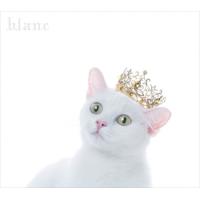 【おまけCL付】新品 BEST SELECTION “blanc"(初回生産限定盤A) / Aimer エメ (CD+Blu-ray) SECL-2139-SK | ピジョン