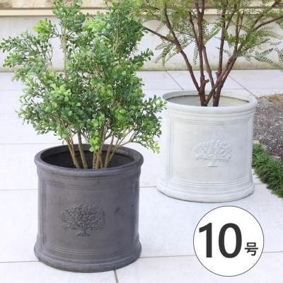 イタリア製プランター 丸型 Amazon.co.jp: イタリア製 プランター ペドロ φ60cm H31cm 20号