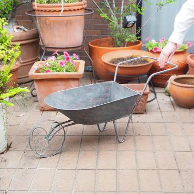 ガーデニング 一輪車（花、ガーデニング）のおすすめ人気商品一覧 通販