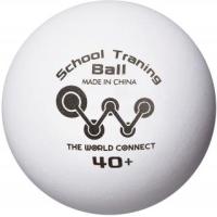 [ザ] ワールドコネクト 卓球 ボール TWC スクール・トレーニングボール 40＋ 100球入 DV010 | ピンナstar