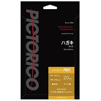 ピクトリコピクトリコプロ・ソフトグロスペーパーHG20枚HG20枚 | Pinus Copia