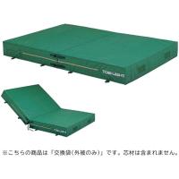 トーエイライト TOEI LIGHT 150X200X20CMカバー 学校機器 器具 (g1217a) | ピットスポーツ ANNEX ヤフー店