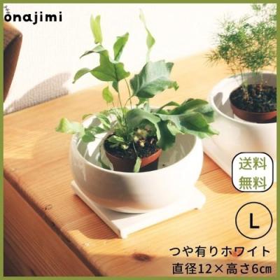 盆栽 五葉松（植木鉢）｜鉢、プランター｜園芸用品 | 花、ガーデニング