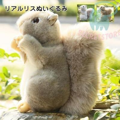 リス ぬいぐるみの商品一覧 通販 - Yahoo!ショッピング
