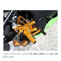 BABY FACE (ベビーフェイス) バックステップ カラー：ゴールド Ninja250 ニンジャ250SL  002-K027GD | バイク&車パーツ プロト公式ストア