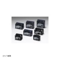 ジーエスユアサ バッテリー 液入り充電済 12V YTZ10S-GY-C YTZ10S-GY-C | バイク&車パーツ プロト公式ストア