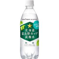 TOCHIとCRAFT ポッカサッポロ 北海道富良野ホップ炭酸水 500ml × 24本 | プラスワンショップYahoo!店