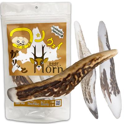 鹿の角（国産/外国産：国産）のおすすめ人気商品一覧 通販 - Yahoo