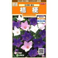 桔梗の花（花の種）｜種、種子 | 花、ガーデニング の商品一覧 通販