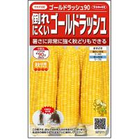 ゴールドラッシュ90の商品一覧 通販 - Yahoo!ショッピング