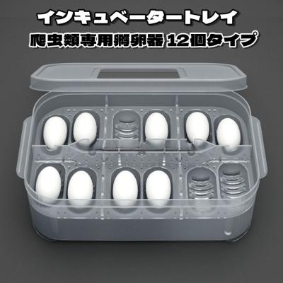 爬虫類グッズの商品一覧 通販 - Yahoo!ショッピング