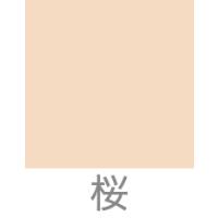 CAC化粧品 全5種 パウダーファンデーション スムース レフィル