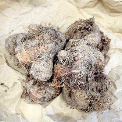 八頭 里芋のおすすめ人気商品一覧 通販 - Yahoo!ショッピング