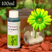 パレス化学 切花着色剤ファンタジー 100ml メロン 切り花 着色 レインボー フラワー アレンジ 切り花着色剤 Z | 農業用品販売のプラスワイズ