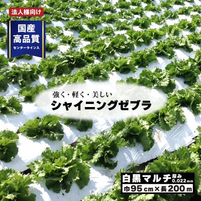 サンシャット 白黒マルチのおすすめ人気商品一覧 通販 - Yahoo