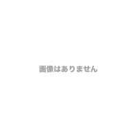 アイリスオーヤマ FRT-M01-H ビューティーケアガン ダークグレー | PLUS YU