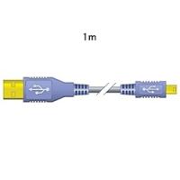 JVCケンウッド VX-U210 USBケーブル 1m Aタイプオス-ミニBタイプオス | PLUS YU