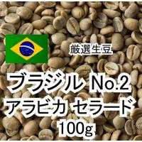 【お試し特価】コーヒー生豆 ブラジル アラビカ セラード ナチュラル 100g | 東京パントリー