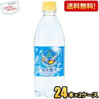 送料無料 チェリオ 強炭酸水 500mlペットボトル 48本(24本×2ケース) 炭酸 天然水使用 炭酸水 軟水 割り材 シリカ10mg 爆買 | ポケットコンビニ ヤフー店