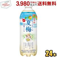 予約受付中 数量限定 チョーヤ CHOYA 夏梅ソーダ 500gペットボトル 24本入 炭酸飲料 なつうめソーダ 梅ジュース 紀州産南高梅使用 | ポケットコンビニ ヤフー店