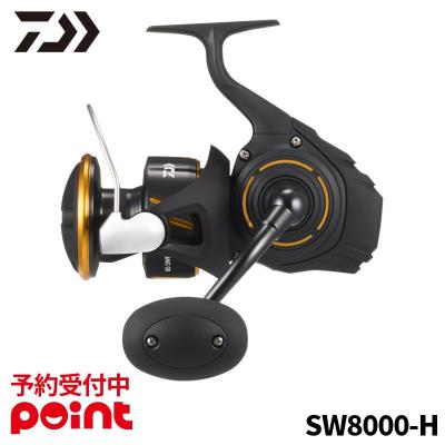 フィッシング エイトリール（DAIWA（釣り）／アウトドア、釣り、旅行