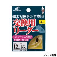 船太刀魚テンヤ 交換用リーダー フロロ 4セット 12号 SW150 | 釣具のポイント東日本 Yahoo!店