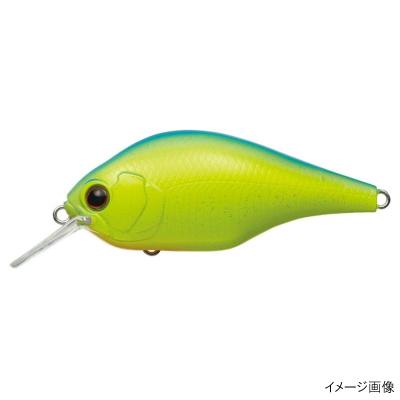 エバーグリーン ゼルクのおすすめ人気商品一覧 通販 - Yahoo!ショッピング