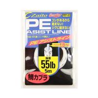 オーナー ザイト ＰＥアシストライン ＰＦＰ−０３ ５ｍ ５５ｌｂ【ゆうパケット】 | 釣具のポイント