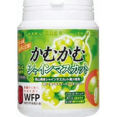 シャインマスカット(スナック、お菓子、おつまみ)の商品一覧 シャインマスカット(スナック、お菓子、おつまみ)の商品一覧