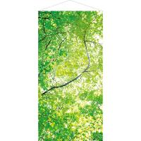 森・自然・木々・木漏れ日タペストリー | 新緑若葉タペストリー（防炎加工） | ポップギャラリー Yahoo!店