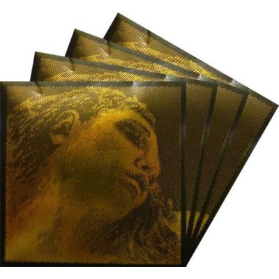 EvahPirazzi Gold エヴァピラッツィゴールド バイオリン弦SET