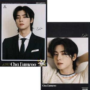 チャウヌ（コレクション、趣味） | 楽器、手芸、コレクション の