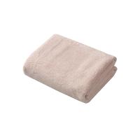 カラリアースヘアドライタオルP 4573306864066 シービージャパン ギフト 普段使い マイクロファイバー 吸水速乾 | pratique by kkヤフー店