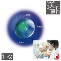 HOYA マルチビューEXライト（L） 1枚 国内正規品 ハードコンタクト 遠近両用 | プレミアコンタクト