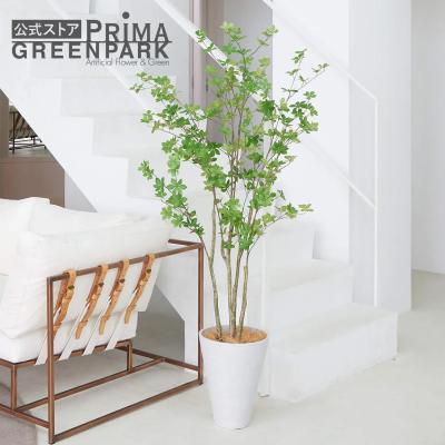 PRIMA-GREENPARK - ドウダンツツジ｜Yahoo!ショッピング