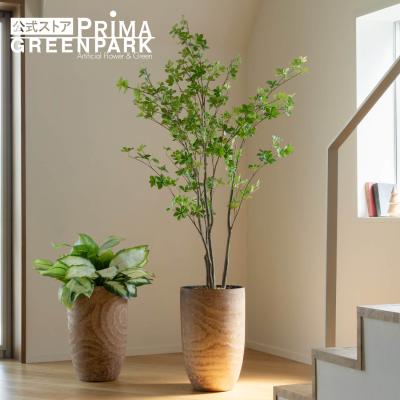 PRIMA-GREENPARK - ドウダンツツジ｜Yahoo!ショッピング