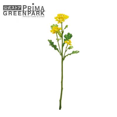 菜の花（花ギフト用途：母の日）の商品一覧 通販 - Yahoo!ショッピング