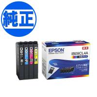 EPSON 純正インク IB09 インクカートリッジ 大容量 4色セット IB09CL4B 