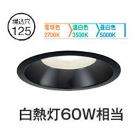 ダウンライト 125φ（大光電機／照明、電球） | 家具、インテリア の